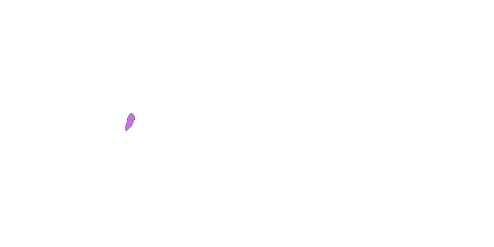 Elastix